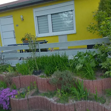 Oscar * Heringsdorf (Usedom)