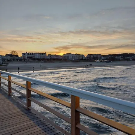 Oscar * 塞巴特黑灵斯多夫