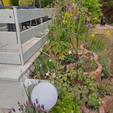 Oscar 塞巴特黑灵斯多夫